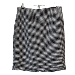 Lord & Taylor Skirt/Size 10 Petite